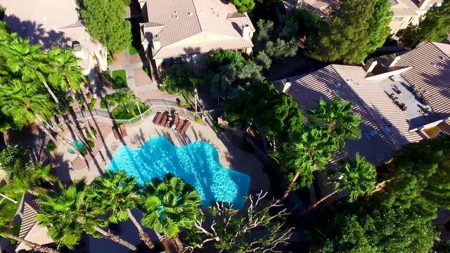 Aerial drone photography looking straight down and a very nice pool with palm trees. This is a sweet camera angle on a pool