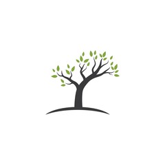 Obraz premium Tree logo template