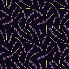 Seamless watercolor background. Botanical pattern of lavender flowers and leaves.
