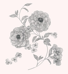 Floral seamless pattern.  Hand drawn peony  flowers. Design concept for fabric design, textile print, wrapping paper or web backgrounds