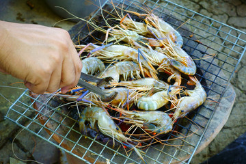 shrimp grill