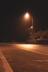 Road under tree bypass lights at night