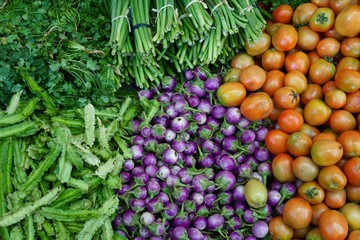 winged beans, purple eggplants, tomatoes, morning glory, and coriander were selling in the market