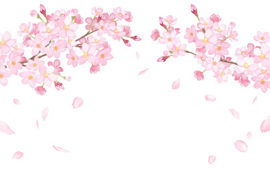 Obraz na płótnie Canvas 春の花：さくらと散る花びらのアーチ型フレーム　水彩イラスト