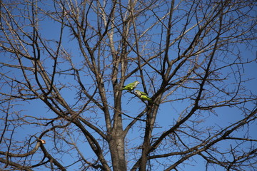 2019, Barcelona, Spain, The Parc de la Ciutadella