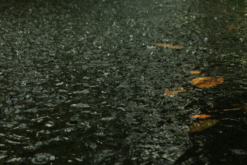 rainfall in the rainforest