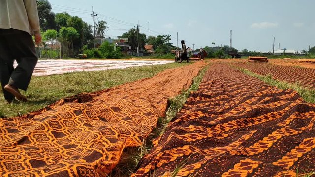 batik workers when drying batik cloth that is quite long and wide in a fairly wide field, in Pekalongan / Jawa Tengah Indonesia, July 21, 2019