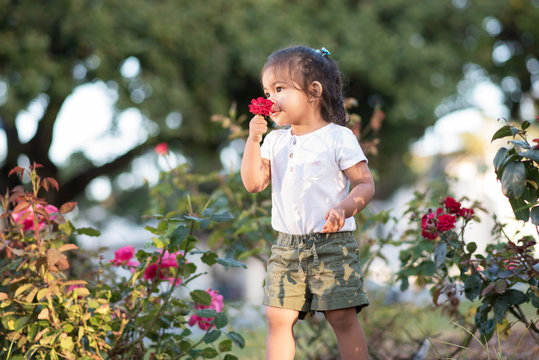Cute Little Girl Smelling a Red Rose