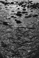 河口の波の様子