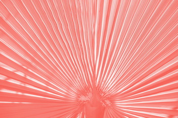 Palmen Blatt pantone 