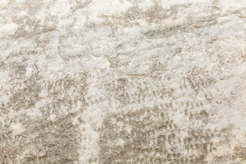 Fototapeta premium Texture of gray concrete ragged wall. Space for text. Background.