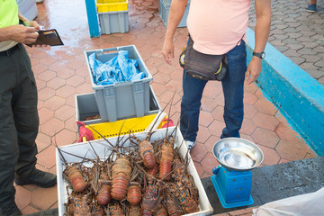 Buyer and seller negotiating for several fresh lobsters at the fish market. Puerto Ayora, Galapagos