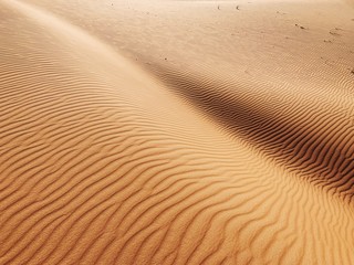 Processed with VSCO with lv01 preset