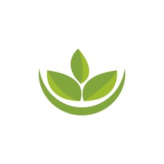 Green leaf logo