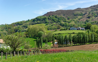 Fototapeta na wymiar agricultural fields and farm in the Basque mountain