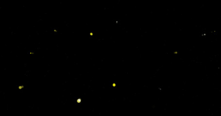 Flying dust particles on a black background