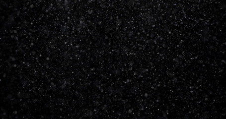 Natural white winter snowfall on a black background