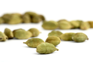 Cardamom pods on white background