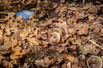 used condom speckled with blood in the autumn forest