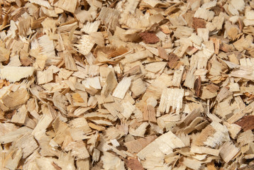 Wood sawdust close up background