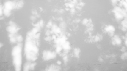 Abstract blur background, blured gray shadow of leaves from a tree on white color concrete surface cement wall