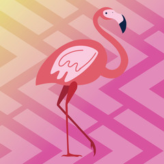 Pink Flamingo on a beautiful yellow-pink background with a geometric pattern. Beautiful tropical bird. Vector illustration for design and web.