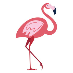 Pink Flamingo on a white background. Tropical bird. Vector illustration isolated for design and web.