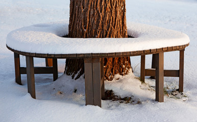 over snowy wooden seats around an old tree