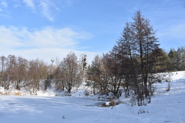 winter landscape with trees and snow