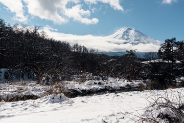 Obraz premium 忍野村の雪景色と富士山 / Mount Fuji