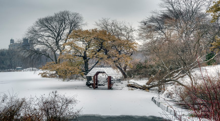 Central Park, New York City at the lake
