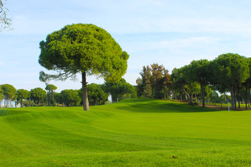 golf course
