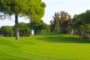 golf course in the park