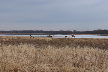 Non-Edited Butler County Iowa