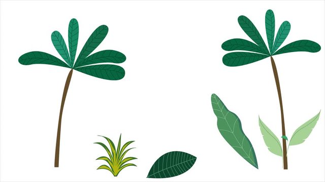 Greenery Tropical leaves and tropic tree animation graphic background