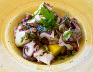 Octopus delicious dish on a yellow plate
