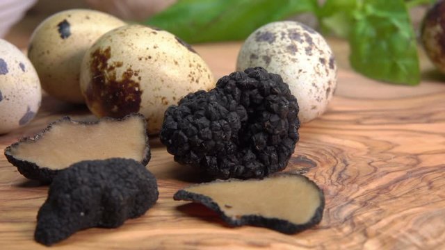 Rare expensive black truffle mushrooms on the wooden board on the background of a quail eggs