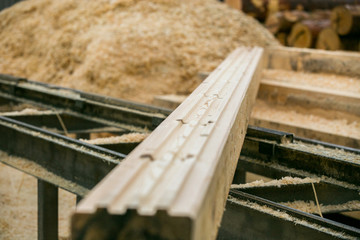 Fototapeta premium Timber production, Wooden planks on timber yard, warehouse or sawmill