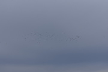 Non-Edited Butler County Iowa