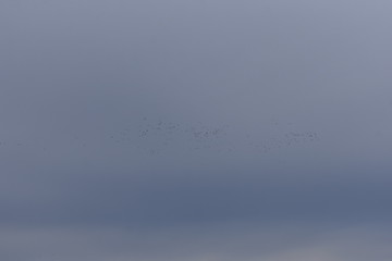 Non-Edited Butler County Iowa
