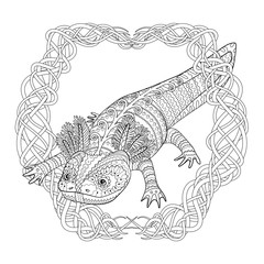 Coloring page with axolotl in patterned style.