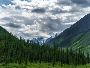 Fototapeta premium Amazing mountainous landscape of mountain peaks and a green strip of forest in cloudy weather.