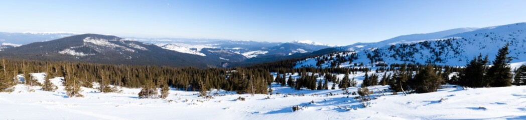 Beautiful snow-covered slope with fir trees