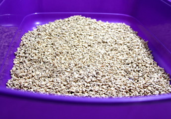 The cat goes to the toilet. Cat's toilet. Purple basin. Plastic box.