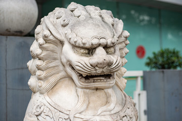 Fototapeta na wymiar Statue of a Chinese dragon. Head of a lion from white marble, grin teeth