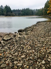 View of rocky beach and pond bank with trees in the distance