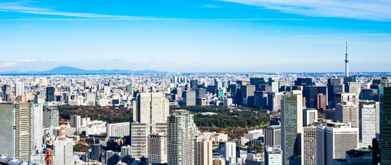 東京　青空と都市風景　ワイド