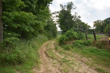 Non-Edited Mossy Glen