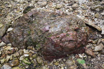 Non-Edited Mossy Glen