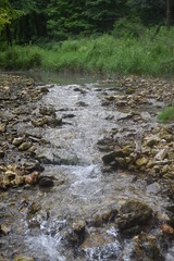 Non-Edited Mossy Glen